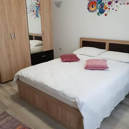 Friendly Rentals Vivamus-2